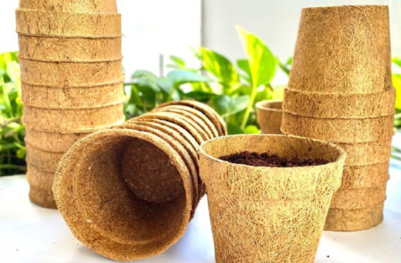 Pt Coir Indonesia Global Leading Coir Company In Indonesia